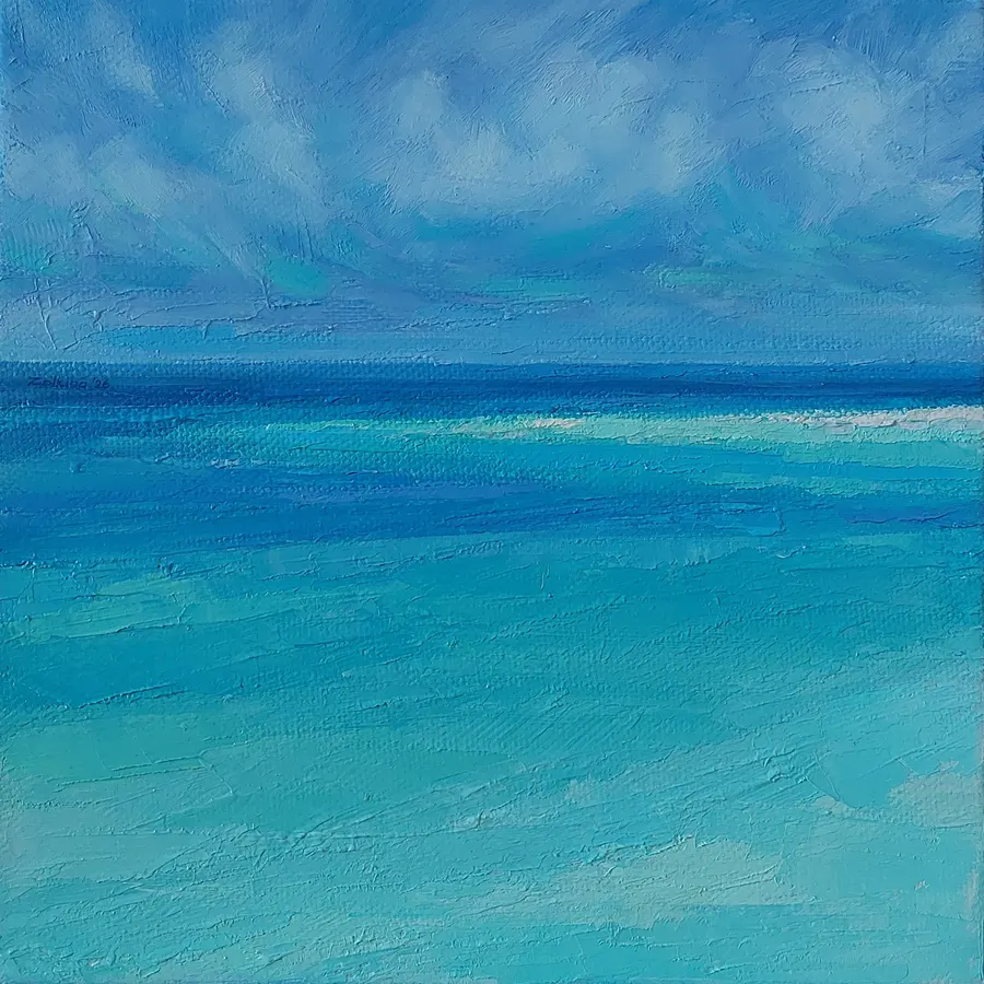 Calm turquoise shallows stretching to the horizon under soft clouds